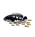 Fishing Chado Thailand 2（個別スタンプ：4）