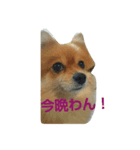 anzutosumomo4（個別スタンプ：2）