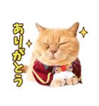 みるゆきねこスタンプ（個別スタンプ：5）