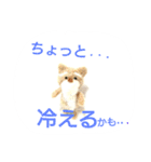 ねこねこ ワコワコ（個別スタンプ：2）