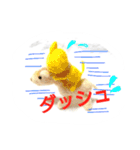 ねこねこ ワコワコ（個別スタンプ：6）