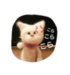 ねこねこ ワコワコ（個別スタンプ：10）