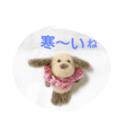 ねこねこ ワコワコ（個別スタンプ：20）