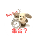 ねこねこ ワコワコ（個別スタンプ：22）
