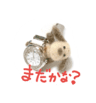 ねこねこ ワコワコ（個別スタンプ：23）