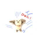 ねこねこ ワコワコ（個別スタンプ：32）