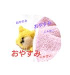 ねこねこ ワコワコ（個別スタンプ：40）