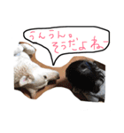 スタンプ じゅんさーん（個別スタンプ：28）