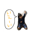 スタンプ じゅんさーん（個別スタンプ：29）