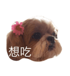 Dodo's happy time（個別スタンプ：2）