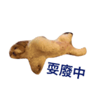 Dodo's happy time（個別スタンプ：6）