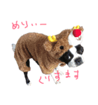 コタウナギ。（個別スタンプ：3）