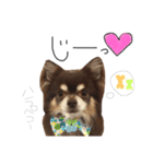 サランちゃん（個別スタンプ：5）