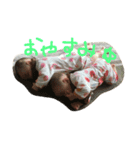 みゆさゆひとこと（個別スタンプ：4）