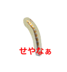 Commonly used words(Aninal ver.)（個別スタンプ：13）