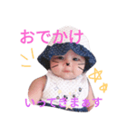 さらん（個別スタンプ：6）