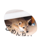 ムギぺたっ（個別スタンプ：4）