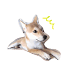 ムギぺたっ（個別スタンプ：5）