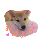 ムギぺたっ（個別スタンプ：10）