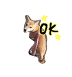 ムギぺたっ（個別スタンプ：11）