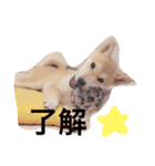 ムギぺたっ（個別スタンプ：13）