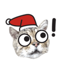 happy happy cat with christmas（個別スタンプ：4）