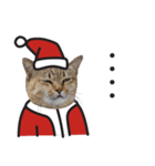 happy happy cat with christmas（個別スタンプ：10）