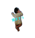 おやすみぃ〰️（個別スタンプ：4）
