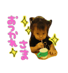 りいまり姉妹（個別スタンプ：9）