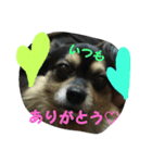 愛犬ロック 8（個別スタンプ：7）