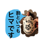 SOUTAvol.7（個別スタンプ：2）