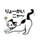にゃんこスタンプ・ハチ＆ロク（個別スタンプ：6）