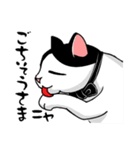 にゃんこスタンプ・ハチ＆ロク（個別スタンプ：8）