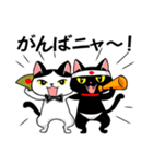 にゃんこスタンプ・ハチ＆ロク（個別スタンプ：11）