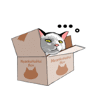 にゃんこスタンプ・ハチ＆ロク（個別スタンプ：14）