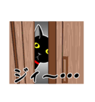 にゃんこスタンプ・ハチ＆ロク（個別スタンプ：15）