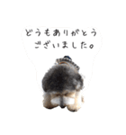 ぐれいとしろ（個別スタンプ：2）