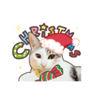 天然ちゃん、何をするの？★クリスマス編★（個別スタンプ：2）