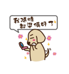 Dachshund's daily（個別スタンプ：3）
