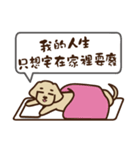 Dachshund's daily（個別スタンプ：10）