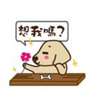 Dachshund's daily（個別スタンプ：12）