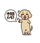 Dachshund's daily（個別スタンプ：19）