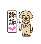 Dachshund's daily（個別スタンプ：20）