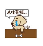 Dachshund's daily（個別スタンプ：22）