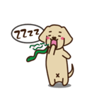 Dachshund's daily（個別スタンプ：24）