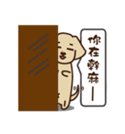 Dachshund's daily（個別スタンプ：25）