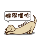 Dachshund's daily（個別スタンプ：26）