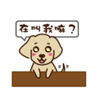 Dachshund's daily（個別スタンプ：27）