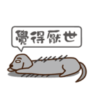 Dachshund's daily（個別スタンプ：28）