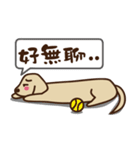 Dachshund's daily（個別スタンプ：29）